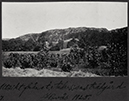 %_tempFileNameV_Setterberg_album-400154%