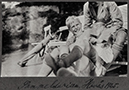 %_tempFileNameV_Setterberg_album-400157%202%